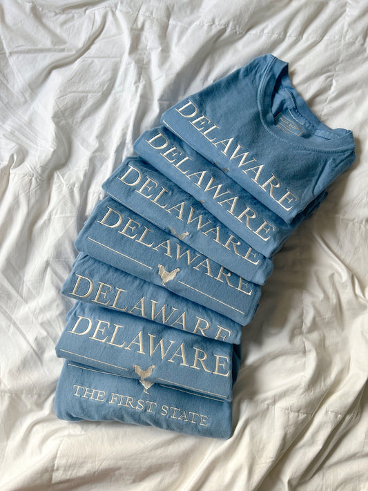 Delaware Embroidered Tee