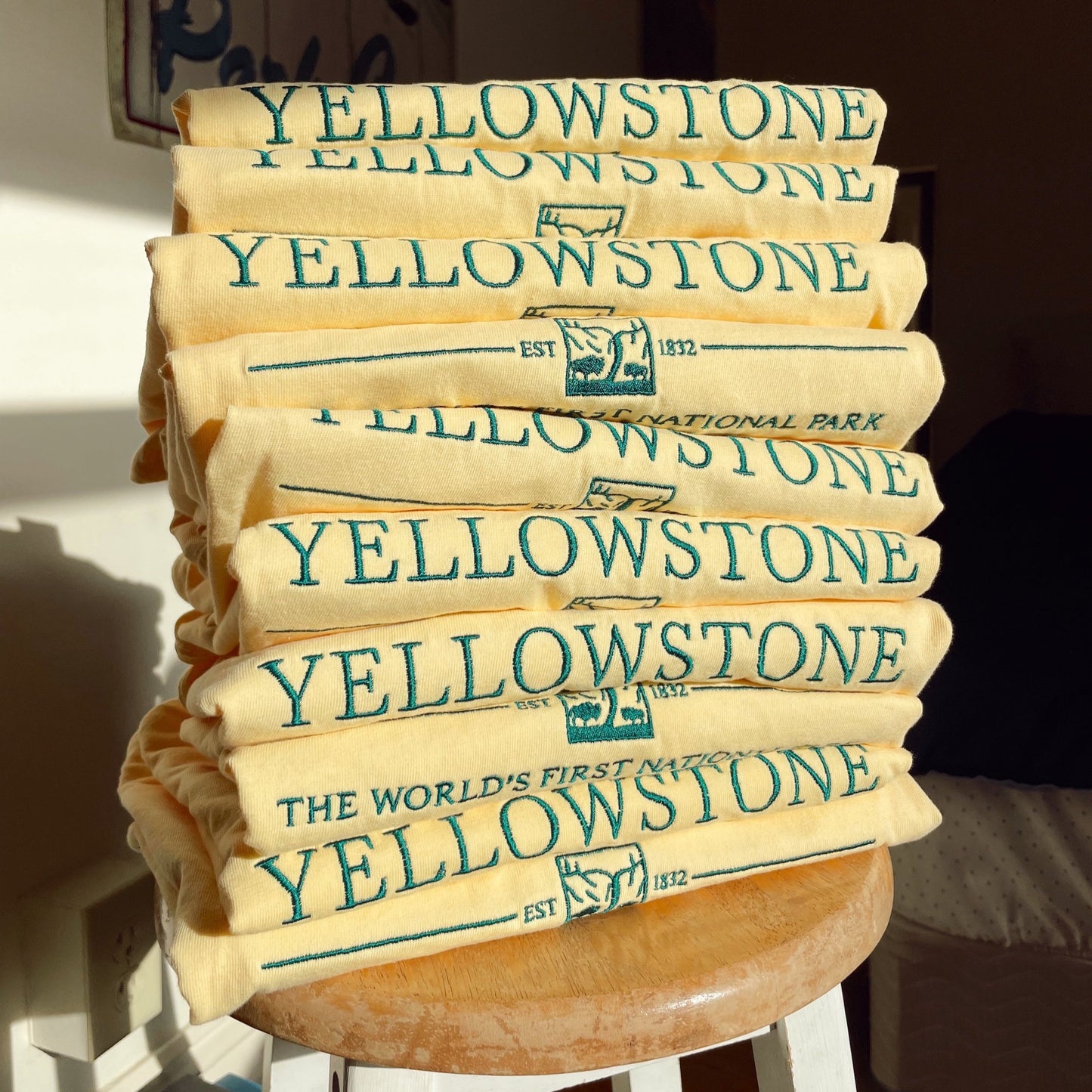 Yellowstone Embroidered Tee - Alex Blom Creates